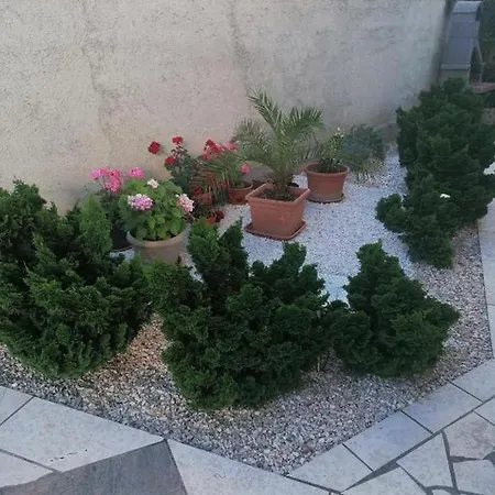 House Panorama